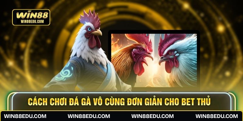 Cách chơi đá gà vô cùng đơn giản cho bet thủ