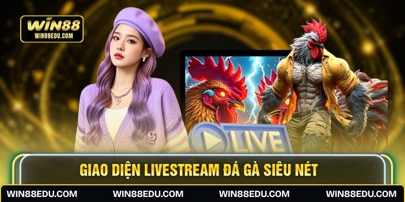 Giao diện livestream đá gà siêu nét