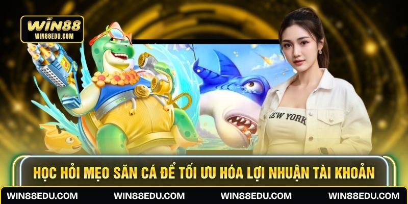 Học hỏi mẹo săn cá để tối ưu hóa lợi nhuận tài khoản