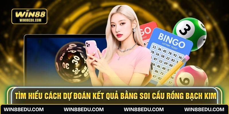 Tìm hiểu cách dự đoán kết quả bằng soi cầu Rồng Bạch Kim